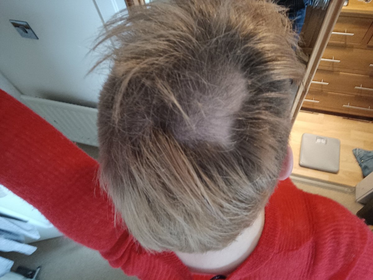 Dr Dagmar, Archerfishionado tweet media