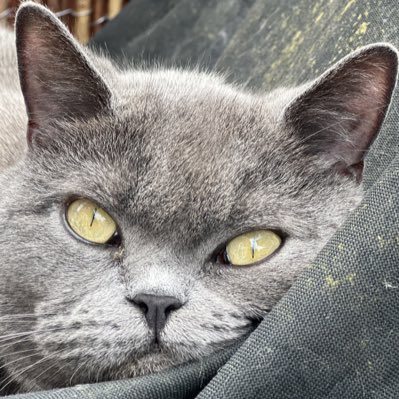 AlbaPaterson's tweet photo. #NewProfilePic https://t.co/uRSwtmbJaZ