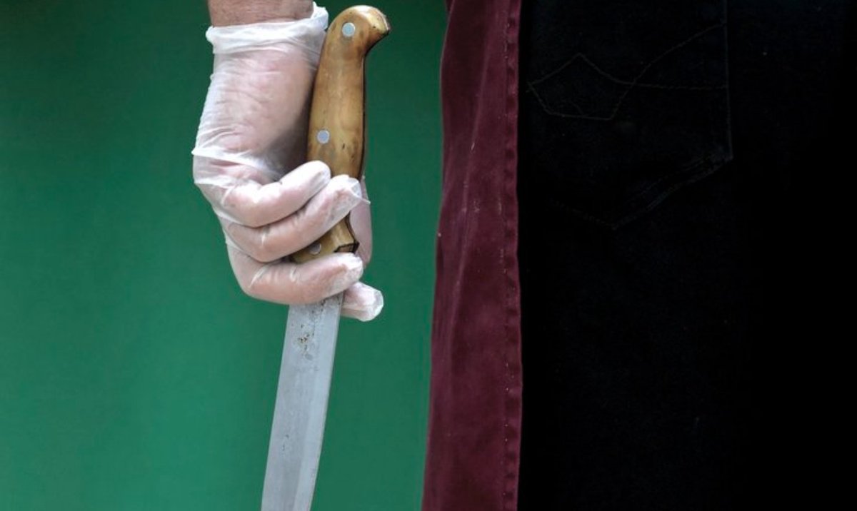 F_Desouche's tweet image. Toulouse : agressé au couteau, Lucas, 18 ans, n&apos;a pas survécu - fdesouche.com/2022/05/23/tou…