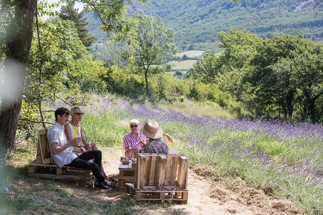Have you heard about the new tourism concept called the Vallée de la Gastronomie? Here are some of the highlights in Provence, Auvergne-Rhône-Alpes and Burgundy-Franche-Comté... francetoday.com/food-drink/top…