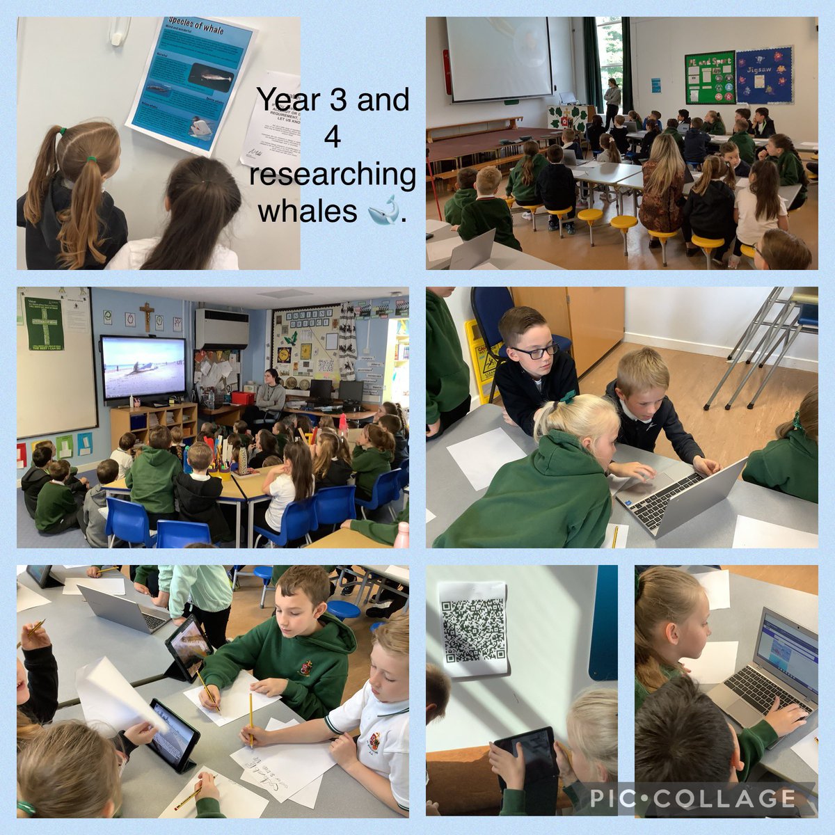 St Augustine's School (@staugustinessc1) on Twitter photo Year 3 and 4 have been inspired by the beached whale at Redcar and are researching different facts 🐋 🏖. <a href="/spiketown/">Spark Tees Valley</a> Year 3 and 4 have been inspired by the beached whale at Redcar and are researching different facts 🐋 🏖. <a href="/spiketown/">Spark Tees Valley</a>