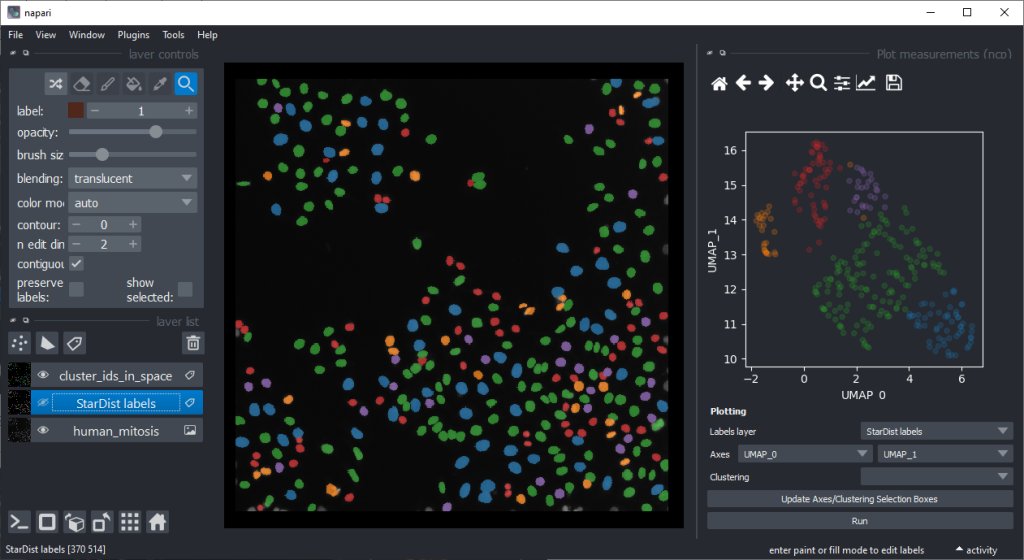 haesleinhuepf's tweet photo. I wrote a @focalplane_jcs blog post about "Explorative #ImageDataScience in @napari_imaging" π¬π₯οΈπ―
(Spoiler: No coding skills required)
Featuring some of my favorite plugins by @zigutyte @RyanSavill4 @uschmidt83 @martweig
Feedback β€οΈly welcome!
https://t.co/bCpIJk4AqO https://t.co/E14DydabXx