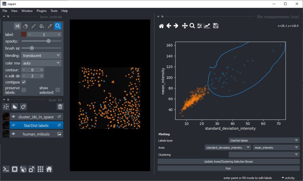 haesleinhuepf's tweet photo. I wrote a @focalplane_jcs blog post about "Explorative #ImageDataScience in @napari_imaging" π¬π₯οΈπ―
(Spoiler: No coding skills required)
Featuring some of my favorite plugins by @zigutyte @RyanSavill4 @uschmidt83 @martweig
Feedback β€οΈly welcome!
https://t.co/bCpIJk4AqO https://t.co/E14DydabXx