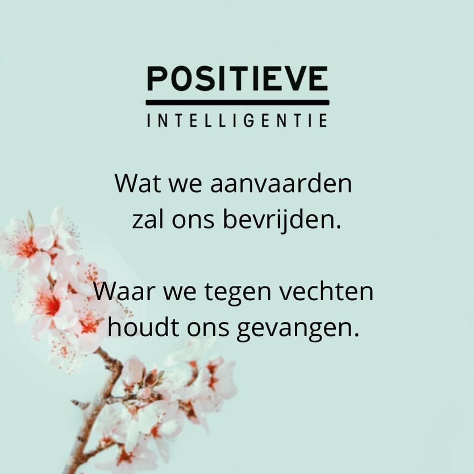 Isabelle_361's tweet photo. Ons boek 📕 @positieveintelligentie is al in 3de druk en daar zijn we heel blij om volg ons ook op insta! #welzijn #werkgeluk @Pelckmans_be https://t.co/DZUQsCQ0dM