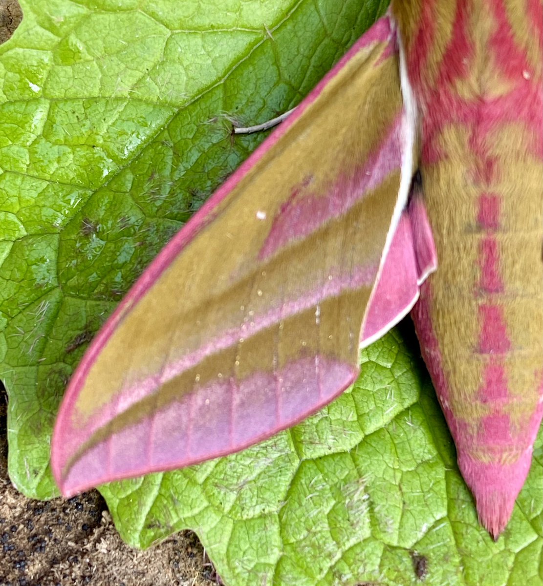 Kevan Brett tweet media