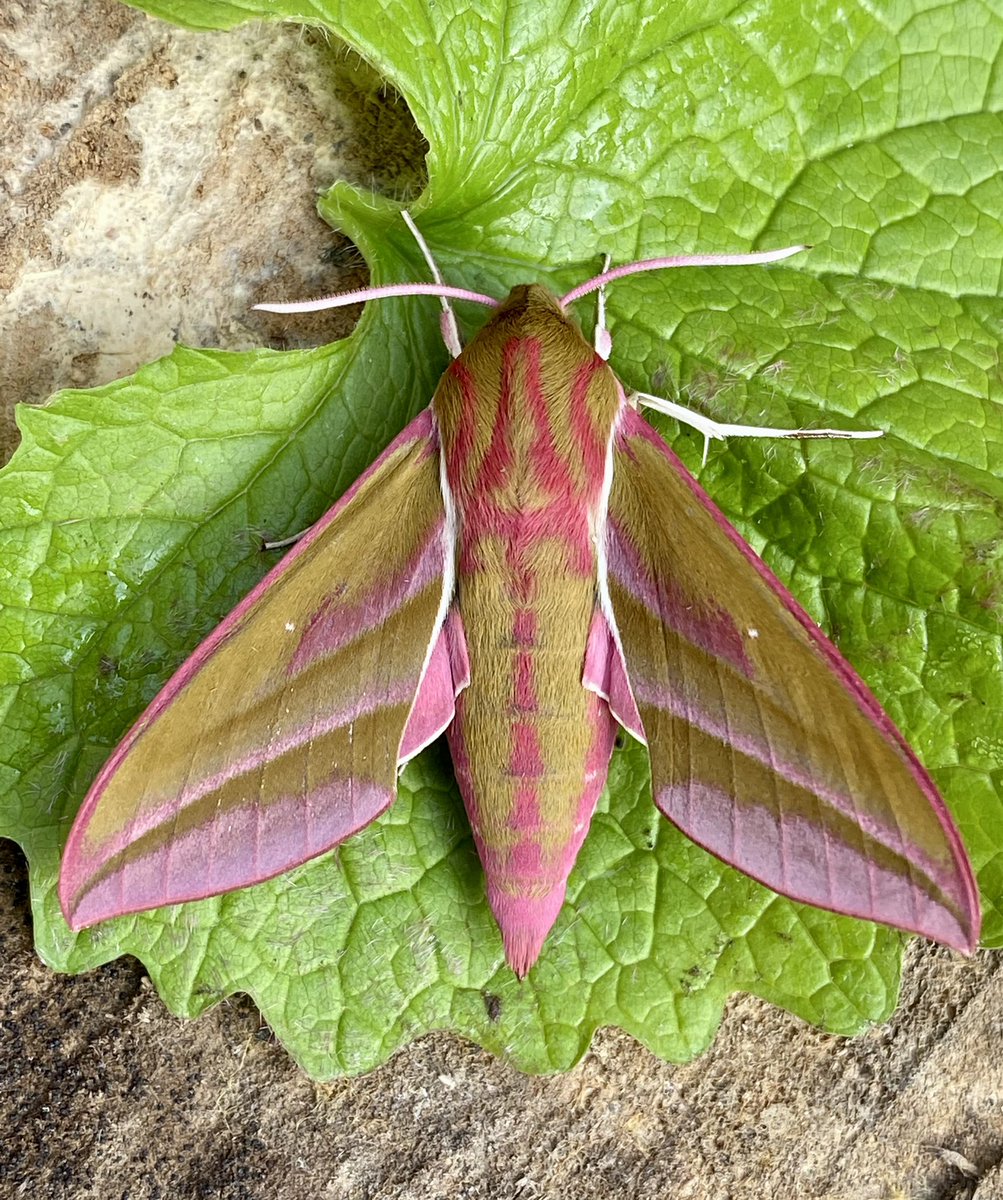 Kevan Brett tweet media