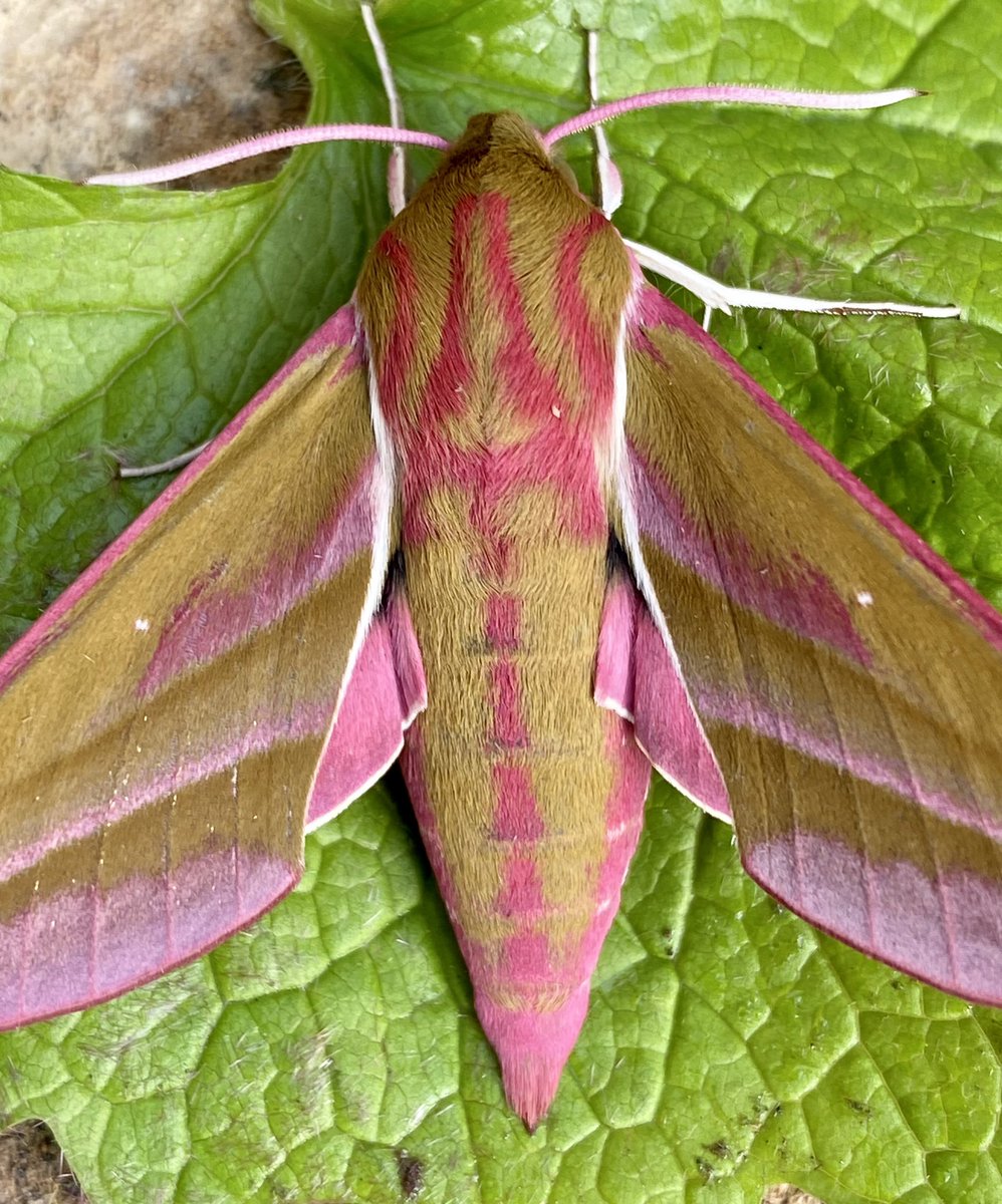 Kevan Brett tweet media