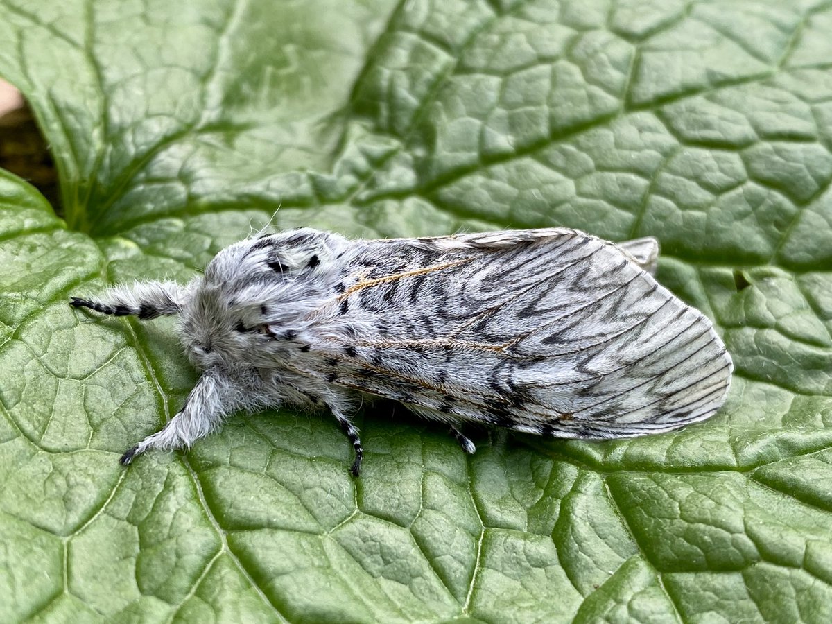 Kevan Brett tweet media