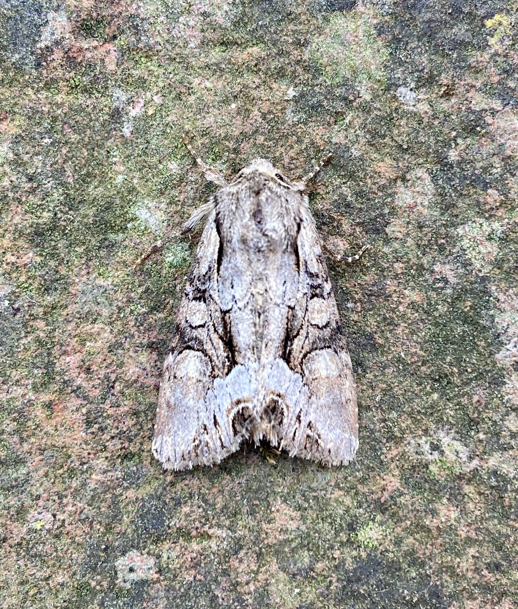 Kevan Brett tweet media