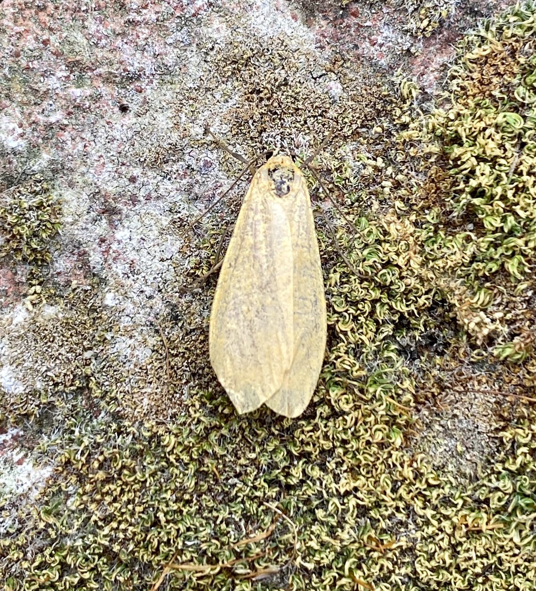 Kevan Brett tweet media