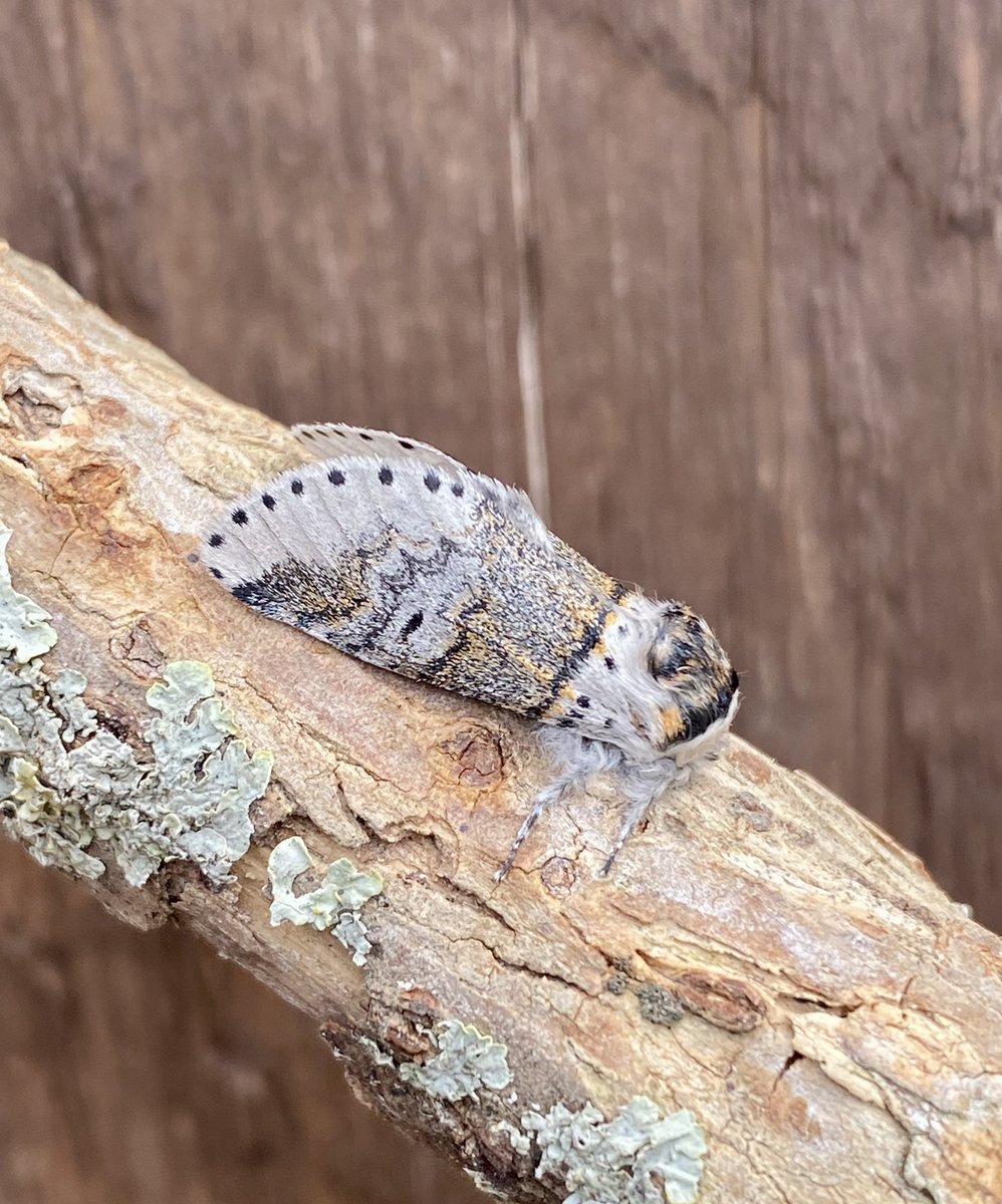 Kevan Brett tweet media