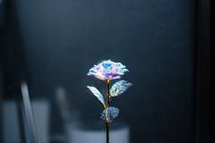 100円ショップの造花に思わずうっとり 幻想的な美しさの写真に 本当に綺麗 撮り方でこんなに変わるんだ 1 2 ページ ねとらぼ