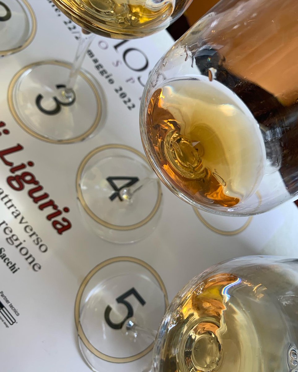missaglia_sara's tweet photo. A Mare Mosto una masterclass dedicata alle bucce di Liguria, i vini che nascono dalle fermentazioni di contatto: guidati da Marco Rezzano, Augusto Manfredi e Davide Sacchi 22 vini in degustazione.
.
#maremosto #buccediliguria #wineoneway #WoW https://t.co/mAM1XH0IHx