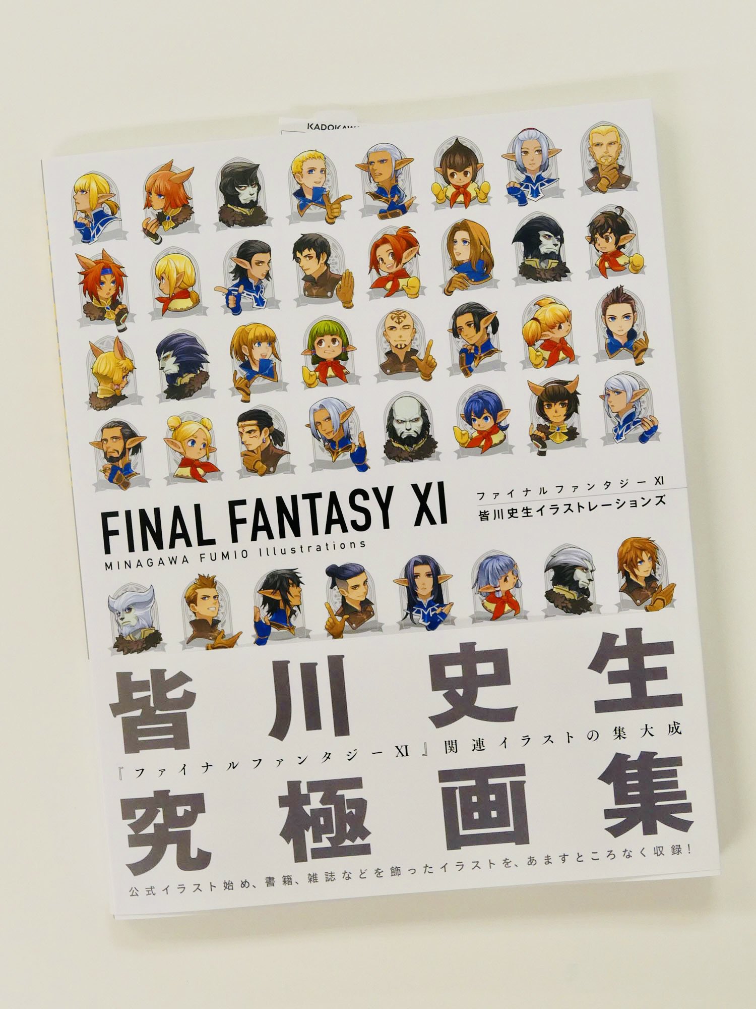 ファイナルファンタジーXI 皆川史生イラストレーションズ-