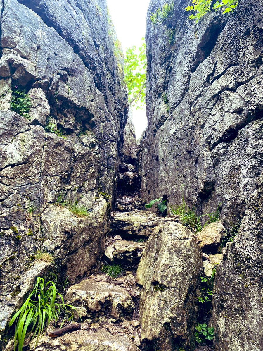 zoezm_'s tweet photo. Visited #fairysteps this weekend in Beetham.
Supposedly, if you climb or descend the steps without touching the limestone sides of the narrow gully, the fairies will grant your wish 🧚‍♀️ https://t.co/F4zDGk1WoN