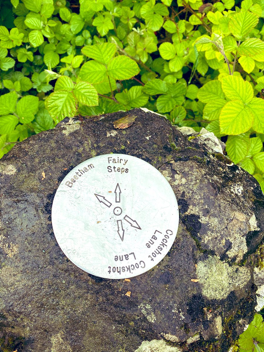 zoezm_'s tweet photo. Visited #fairysteps this weekend in Beetham.
Supposedly, if you climb or descend the steps without touching the limestone sides of the narrow gully, the fairies will grant your wish 🧚‍♀️ https://t.co/F4zDGk1WoN