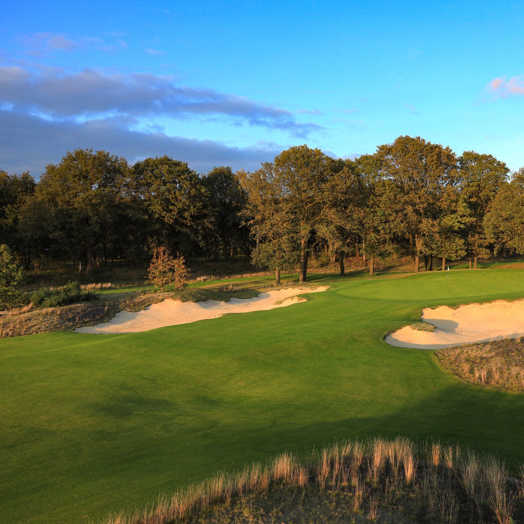 Leading Courses tweet media