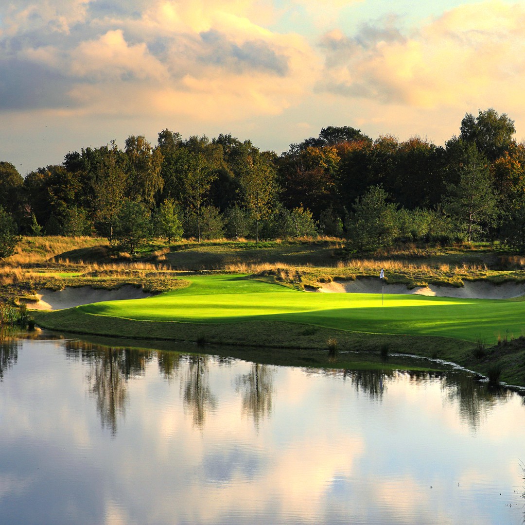 Leading Courses tweet media