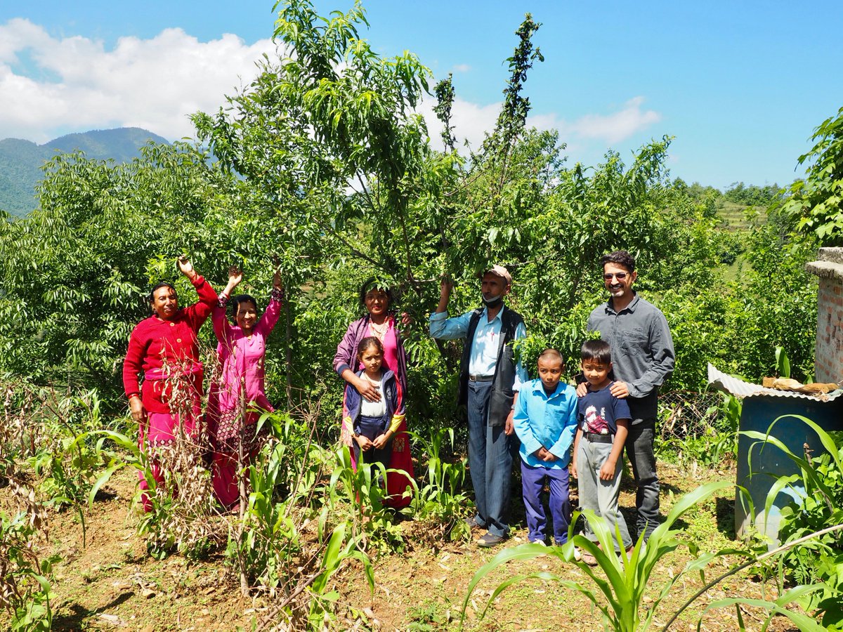 SantiSchool's tweet photo. We planted a tiny nectarine tree in the #pollinator garden at our partner school in late 2020. Look at that tree now! #bees #nepal #garden #education #organic #experientialeducation https://t.co/Ow6F9kTZjV