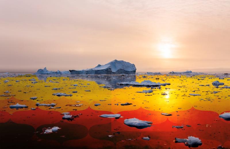 Dr Pippa Bailey tweet media