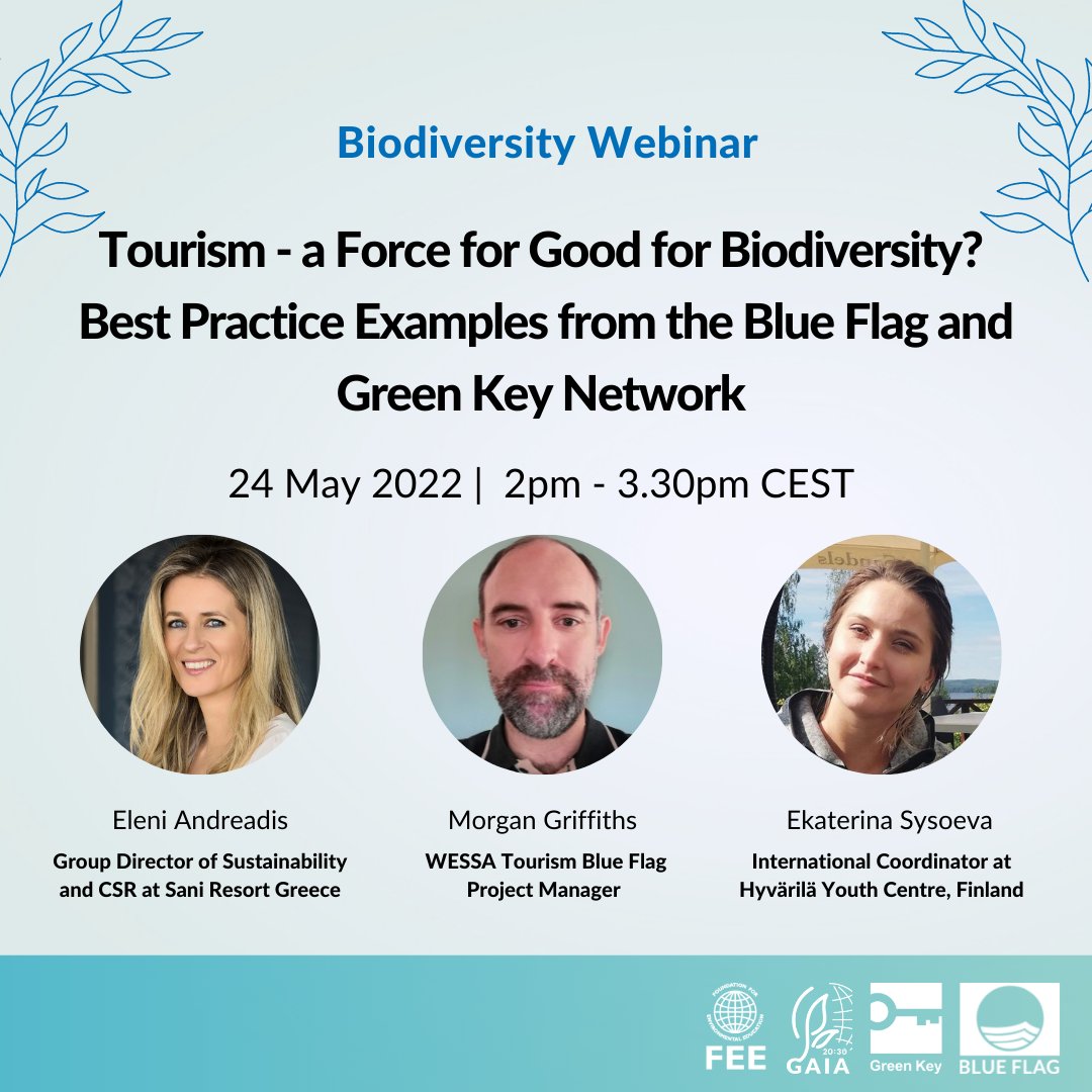 Blue Flag tweet media