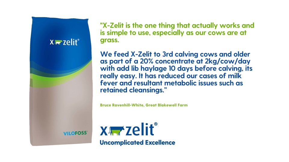 X_Zelit's tweet photo. X-Zelit works with any diet - simple!!
#easydrycowmanagment #drycows #transitioncows #healthycows #uncomplicatedexcellence https://t.co/mfACZLM91T