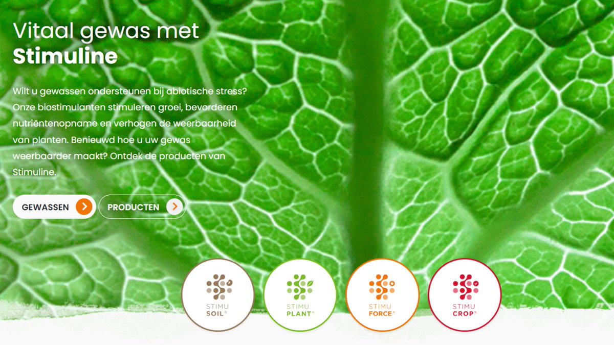 Bent u benieuwd wat #biostimulanten voor u kunnen betekenen? Op onze splinternieuwe website Stimuline.nl is per teeltuitdaging of gewas advies te vinden voor de inzet van onze biostimulanten. bit.ly/3wHubBl #nieuwewebsite #Stimuline