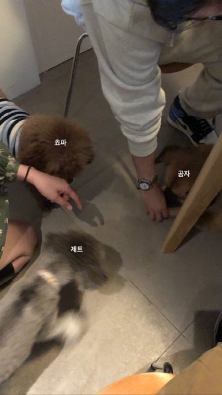 2022.05.23 조승우 신발

msearch.shopping.naver.com/catalog/207712…나이키%20에어조던%201%20레트로%20하이%20옵시디언&amp;sort=LOW_PRICE

나이키 에어 조던 1 레트로 하이 OG 옵시디언 555088-140

🏷 판매처 마다 가격 상이