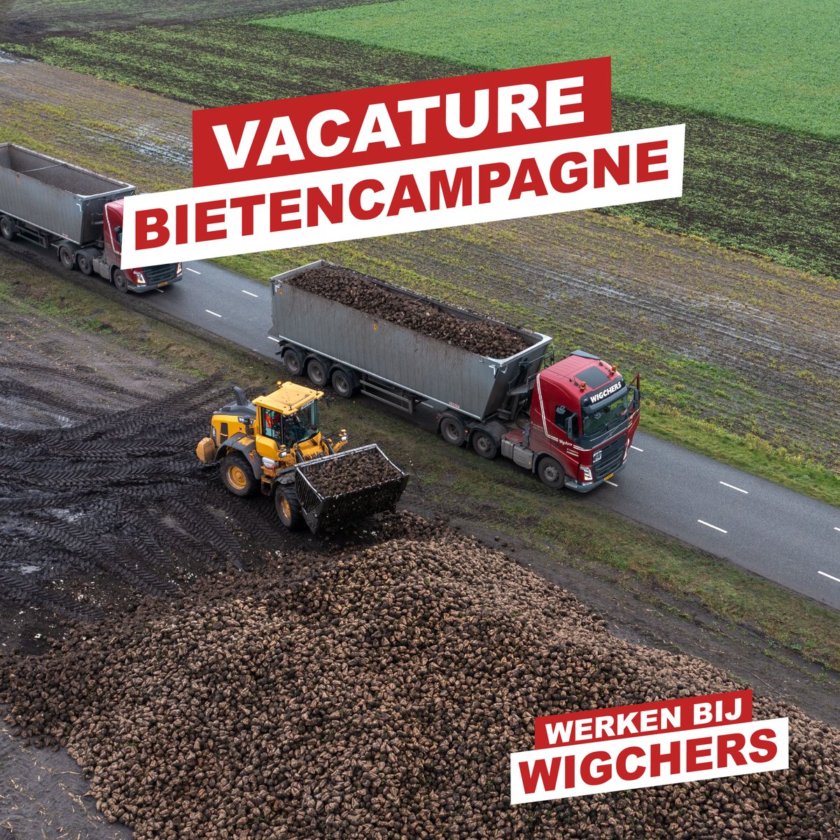 Wigchers Transport tweet media