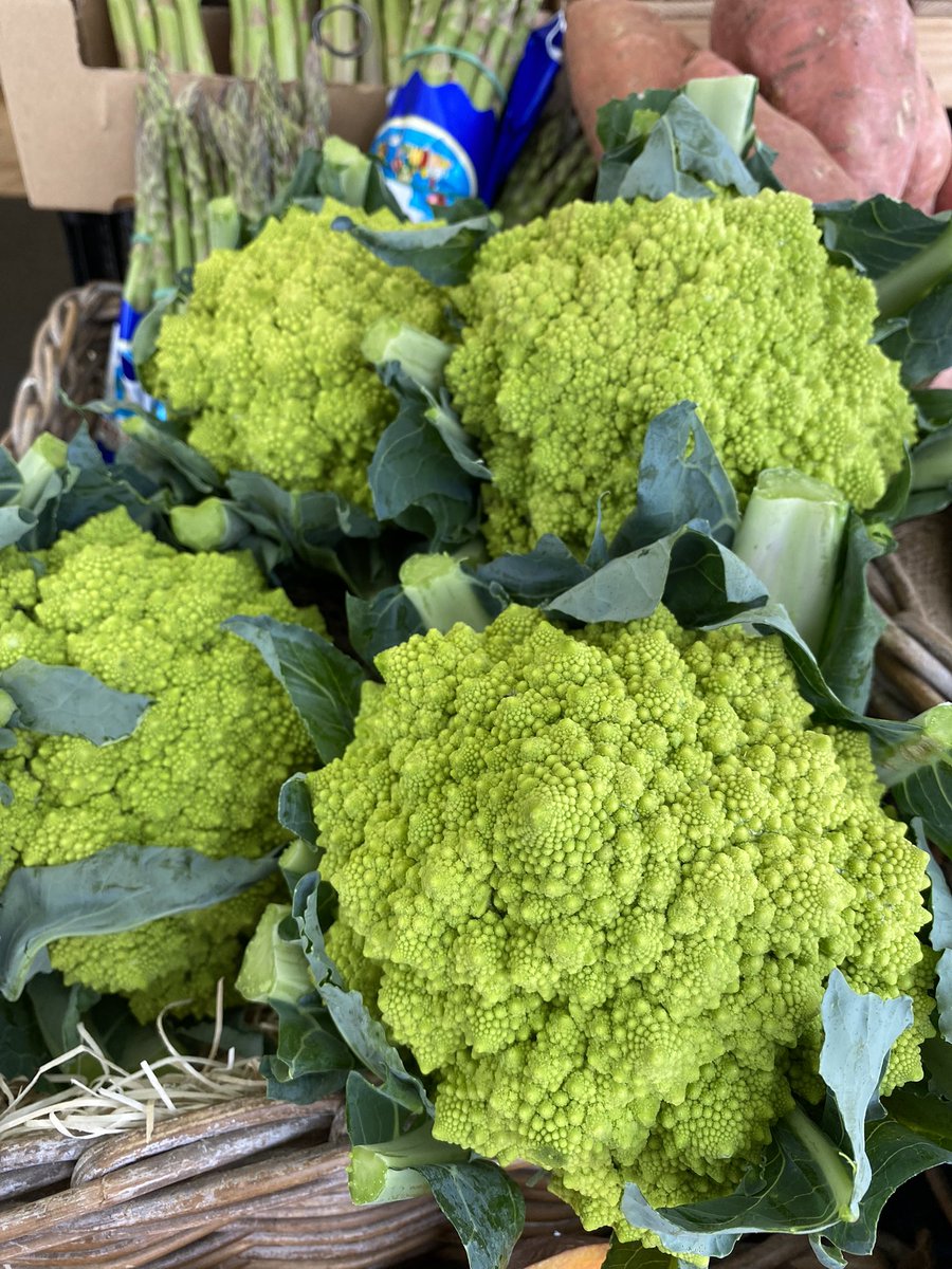 Class1 Romanesco. Has nature ever given us anything so striking? Roast it, steam it, grate it, boil it….enjoy it. How do you guys like yours? #tonysfinchley #tonysn2 #eastfinchley #romanesco #romanescorecipe #roastedromanesco #garlicromanesco #italianromanesco