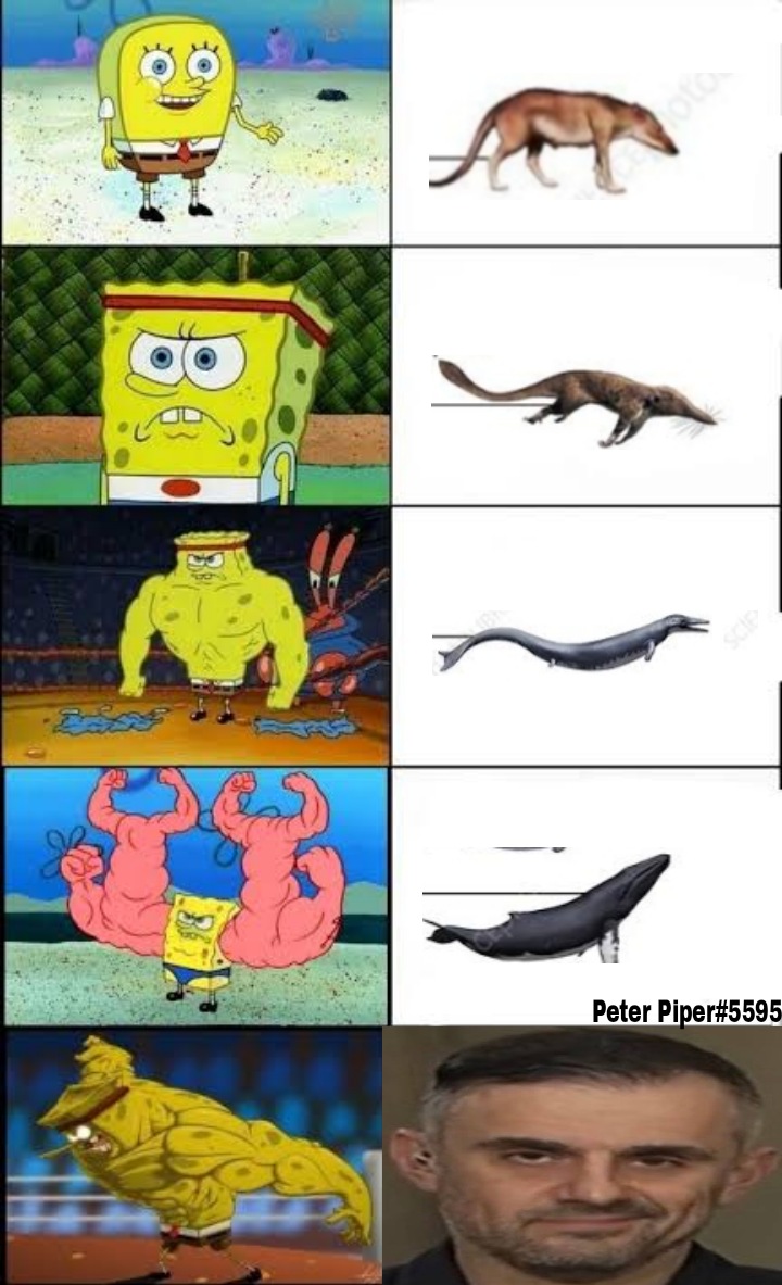 Peter Piper♥️Memeland tweet media