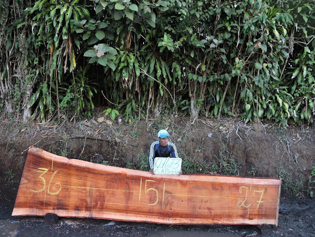 steven_colson's tweet photo. Live Edge Slabs Costa Rica supplies different types of 2-inch wood slabs for furniture makers. 

https://t.co/5KCQBdADrH

#liveedgedesign #liveedgeslabs #slabflattening #woodworkbench #woodworking #carpenternail #sawmill #woodshoplife #woodshop_warrior #woodshoporganization https://t.co/7nV21crBWh