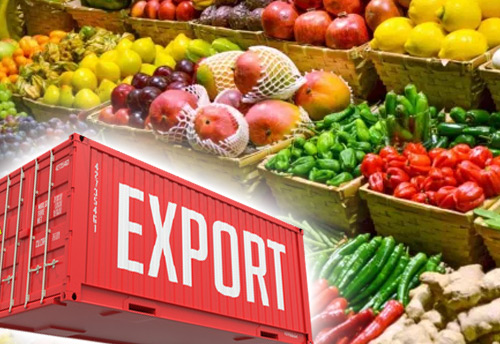 PTFoundation10's tweet photo. Do you to Start Agro Export Business ? Please Call 8754417500 / 8122387627 #export #entrepreneur #Entrepreneurship #seminar #ptf #agroproducts #valueaddition #agro #Farmers https://t.co/FVMIHoEtY7