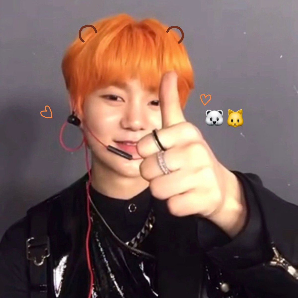 김빵디 tweet media
