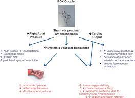 Austin97616070's tweet photo. #Cardiology #Pelvic_pain_syndrome #Prostatitis  #endometriosis 
Venous Congestion Due To #large Arteriovenous Anastomoses 
for full length article please click: https://t.co/4TTlkFRb1U
for #NEW submissions #Please #contact_  opast.coa@gmail.com https://t.co/nuas7lAEyZ