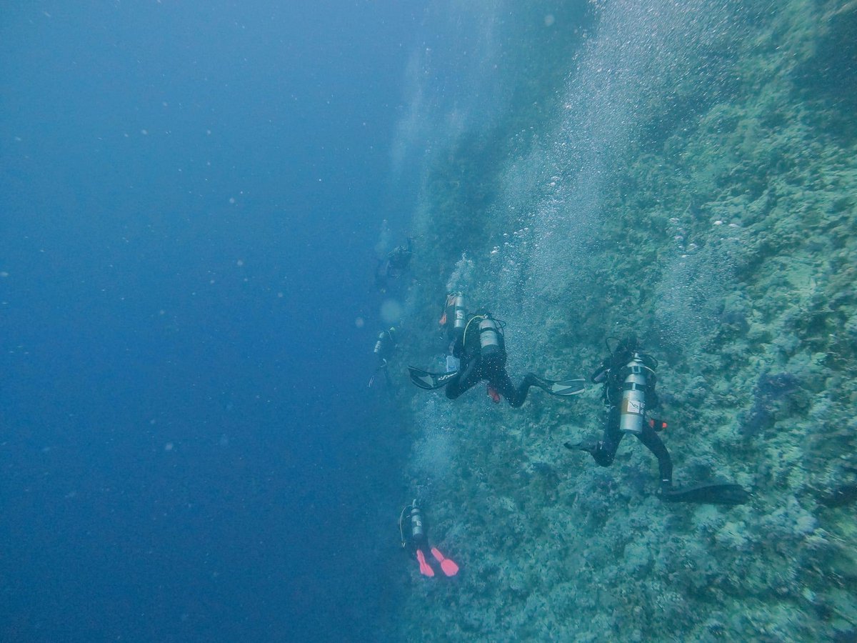 Dearne Valley Divers tweet media