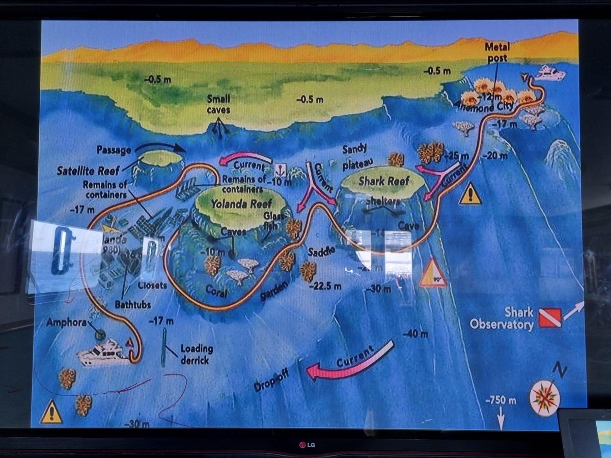 Dearne Valley Divers tweet media
