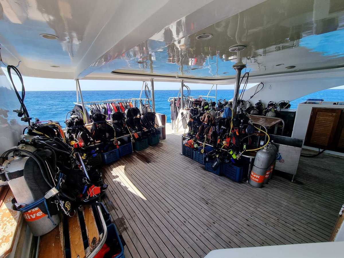 Dearne Valley Divers tweet media