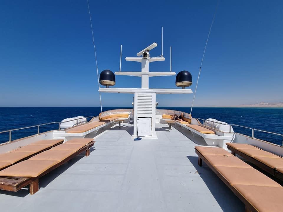 Dearne Valley Divers tweet media