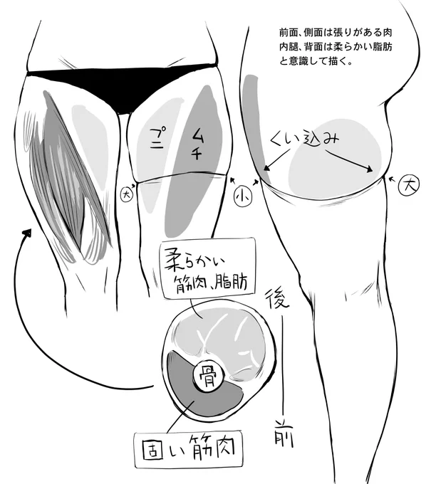 サイハイニーソックスは太ももの肉を余らせてニーソックスに乗っけるのがマナーなので、これを指導する太もも講師になって生計を立てたい。 