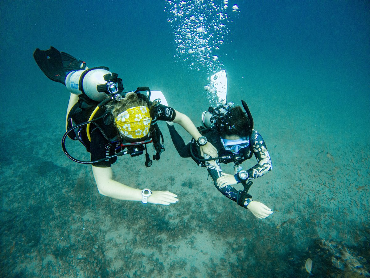 GoProIDCKohTao's tweet photo. 𝔸𝕟𝕠𝕥𝕙𝕖𝕣 𝕟𝕖𝕨 @PADI 𝔻𝕚𝕧𝕖𝕞𝕒𝕤𝕥𝕖𝕣
•
Congratulations to 🇯🇵 Takako 🇯🇵 on completing her Divemaster Course!
•
𝗦𝘁𝗮𝗿𝘁 𝘆𝗼𝘂𝗿 𝗷𝗼𝘂𝗿𝗻𝗲𝘆 𝗵𝗲𝗿𝗲
https://t.co/OpB4ND8axi
•
#thailand #idckohtao #padi #padidivemaster #divepro #gopro #blackturtledive https://t.co/YTohtalaoX