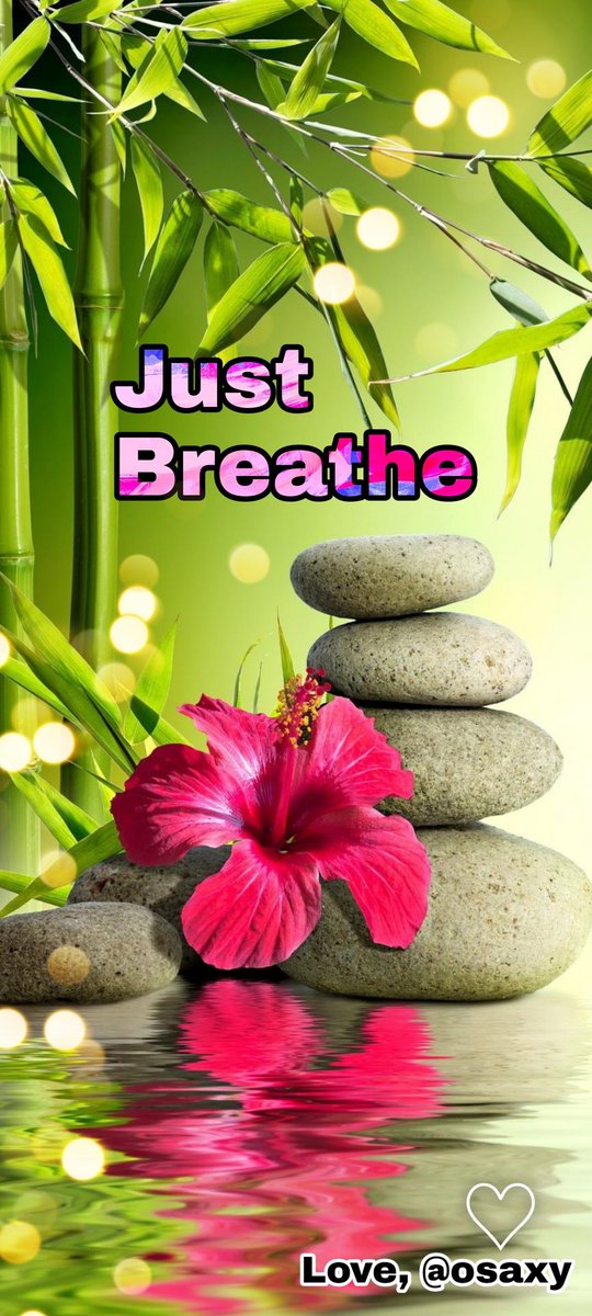 Sheri (LupusDiva) (osaxy) (@osaxy) on Twitter photo Well... The lesson for today is just breathe. Even when your chest is aching with each breath, do it anyway. Just breathe. You can breathe thru the pain. I know you can! You and I have earned a day... A day to just breathe! Love&Hugs, Sheri โค๏ธ Well... The lesson for today is just breathe. Even when your chest is aching with each breath, do it anyway. Just breathe. You can breathe thru the pain. I know you can! You and I have earned a day... A day to just breathe! Love&Hugs, Sheri โค๏ธ