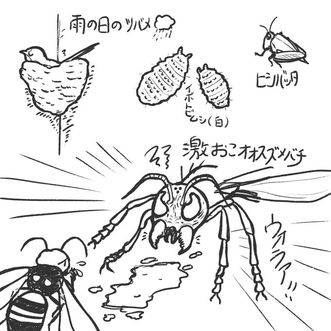 最近の生き物です 