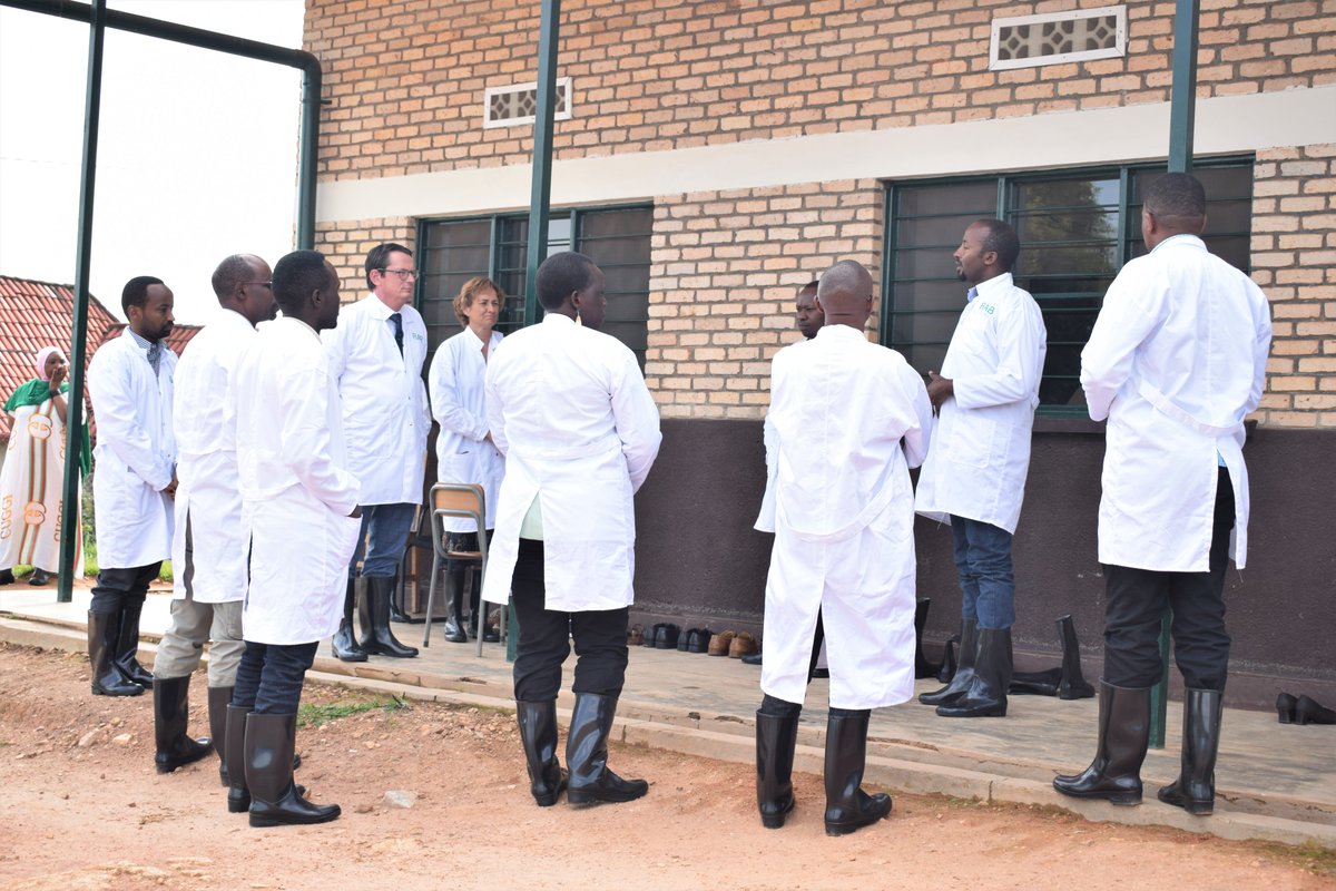 RwandaAgriBoard's tweet photo. Aka Kanya:  Ambasaderi wa @BelgiumRwanda Nyakubahwa Bert Versmessen ari gusura RAB/Sitasiyo ya Muhanga ahafatirwa hakanatunganyirizwa intanga z’icyororo cy’ingurube cya kijyambere. Nyakubahwa Bert yeretswe uburyo intanga zifatwa, uko zitunganywa nuko zibikwa. https://t.co/xaarOJ2lqW