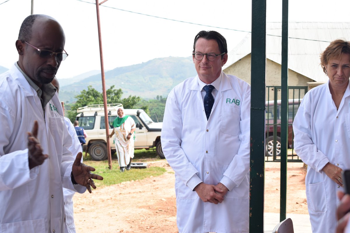 RwandaAgriBoard's tweet photo. Aka Kanya:  Ambasaderi wa @BelgiumRwanda Nyakubahwa Bert Versmessen ari gusura RAB/Sitasiyo ya Muhanga ahafatirwa hakanatunganyirizwa intanga z’icyororo cy’ingurube cya kijyambere. Nyakubahwa Bert yeretswe uburyo intanga zifatwa, uko zitunganywa nuko zibikwa. https://t.co/xaarOJ2lqW