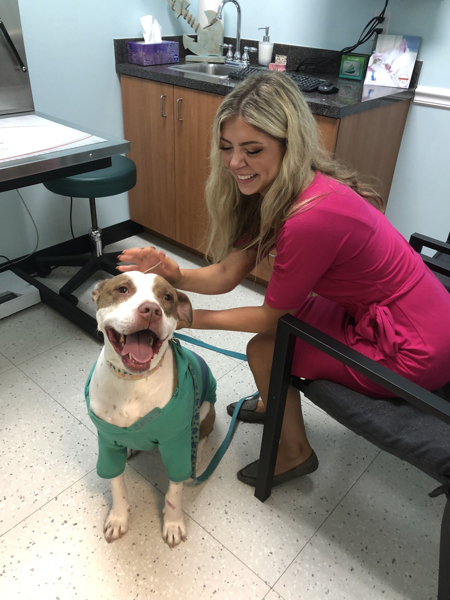 Leah Shields on Twitter "On GMJ A new cancer treatment for dogs is