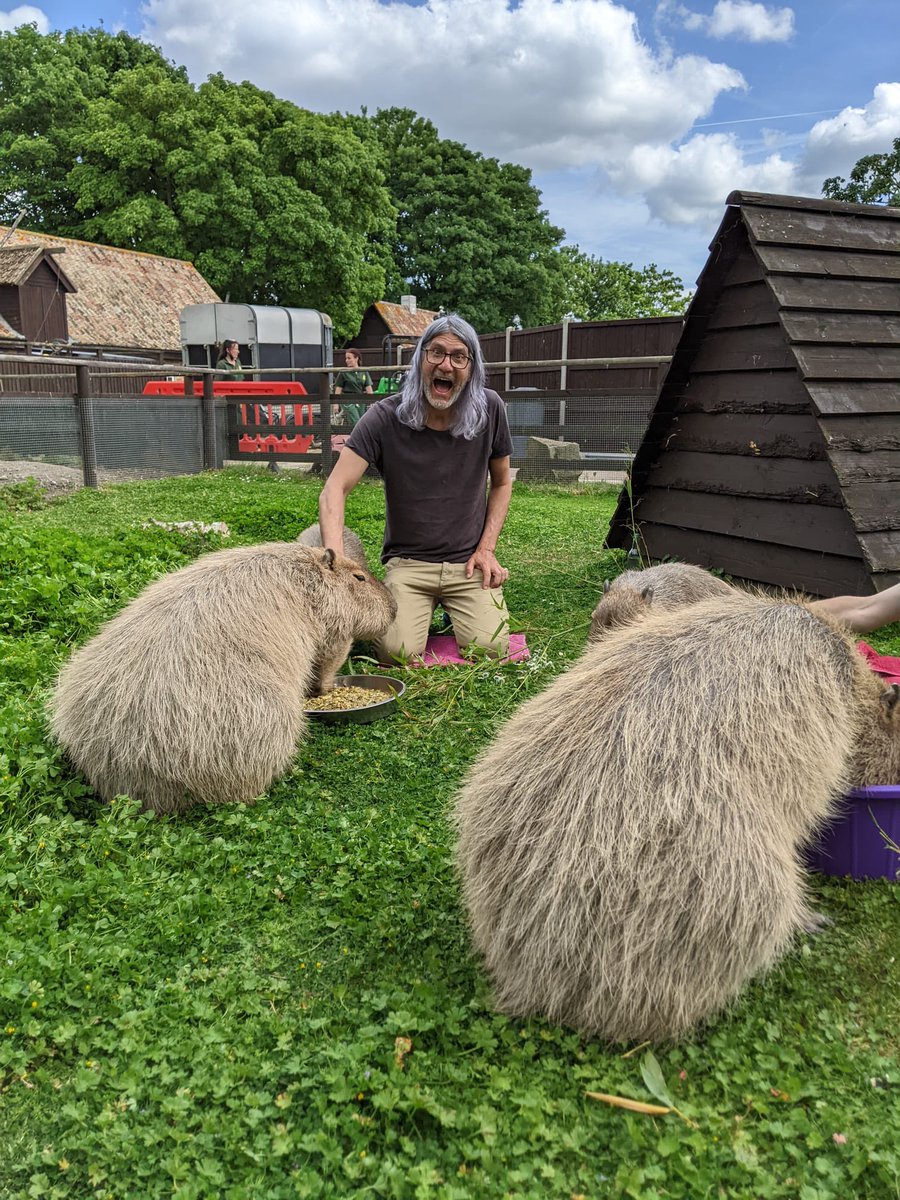 eddyTM's tweet photo. Don’t wanna brag but my weekend was probably better than yours. 😂 #capybara #capybaraexperience https://t.co/Ac9og1UYyu