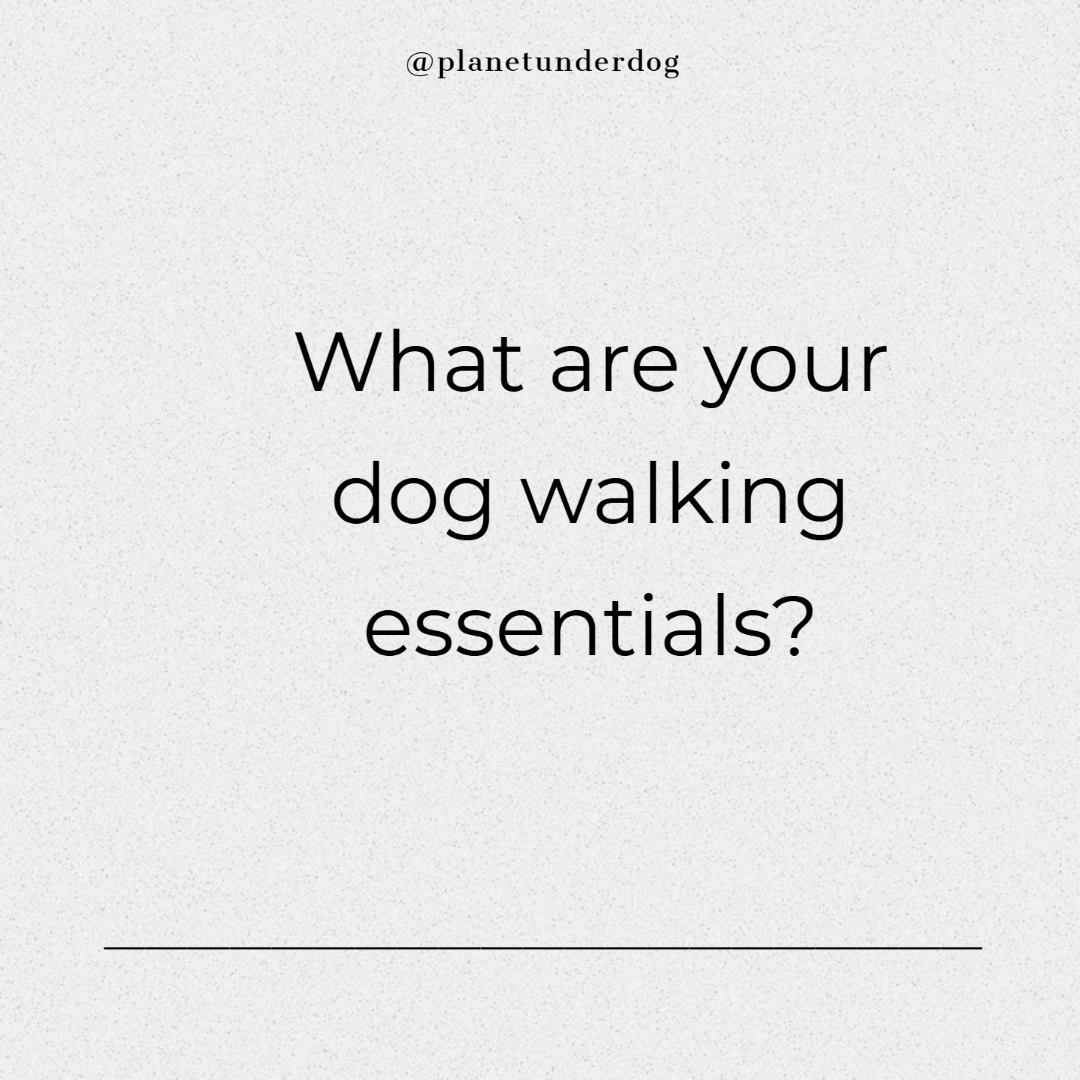 We love <a href="/DickyBag/">Dicky Bag</a> - because the idea is genius anyway, but there's a clever little compartment where you can pop your poop bags!

What are your dog walking essentials?