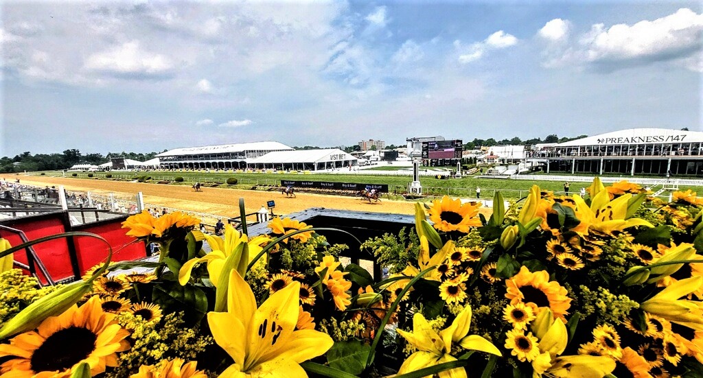SMTlive's tweet photo. SMT was back in action at #Preakness147 on Sunday! 🌻🏇 Our GOTO Board feeds NBC's Steve Kornacki the stats for a look at where the money flows &amp; our live leaderboard shows you the upsets and the quick lead changes. On to Belmont! #SecondToNone #SMTData #SMTChangingtheGame https://t.co/9PxrEtOWRX