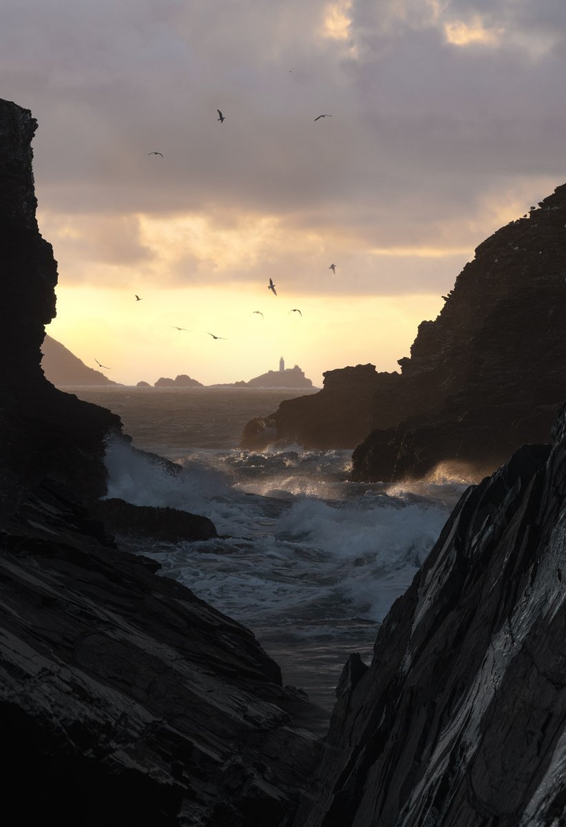 Mark Dobson | Wild Seascapes tweet media